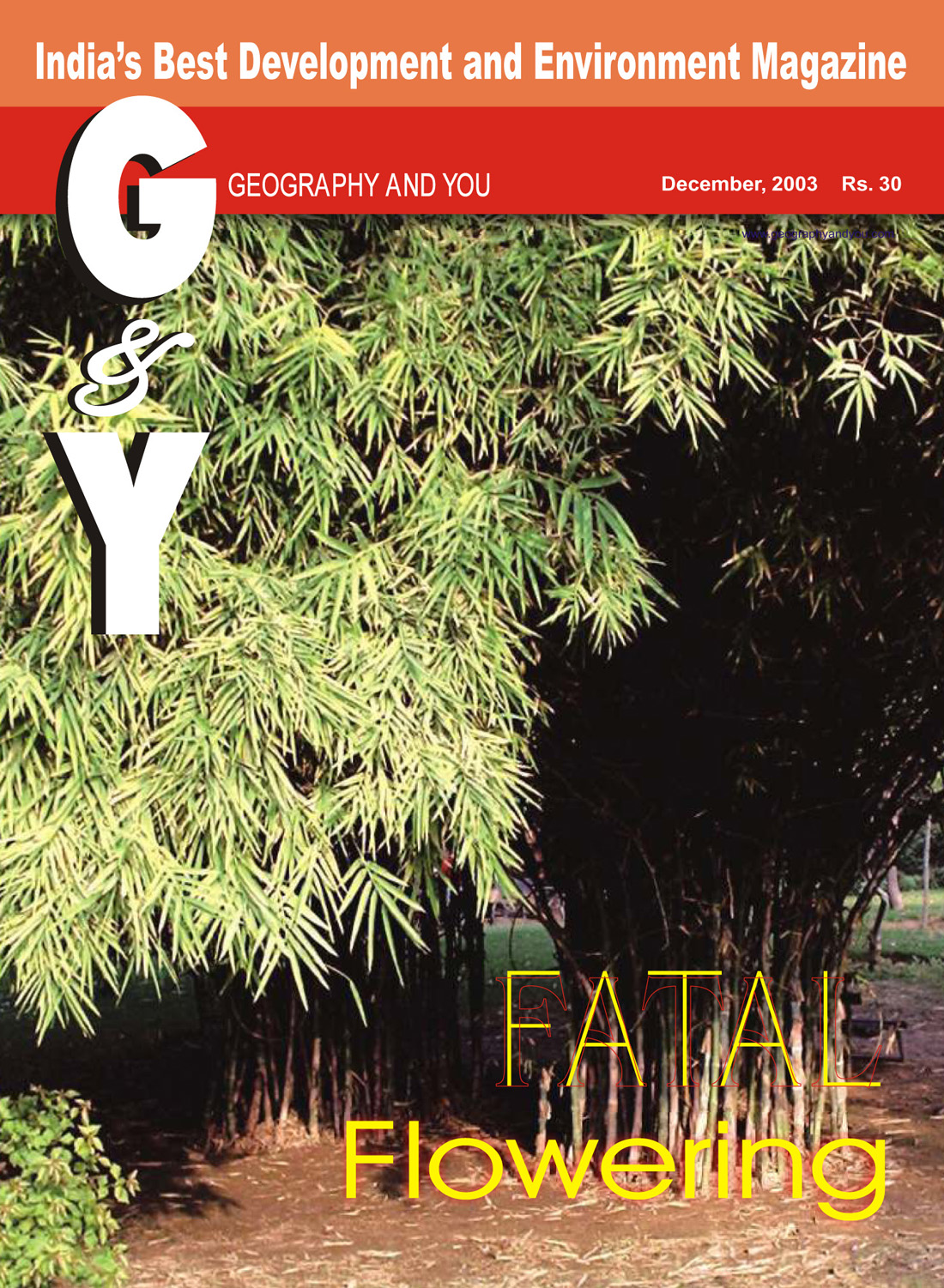 Fatal Flowering (December 2003) cover